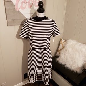 NWT Black and White Striped Sheath Dress Tall